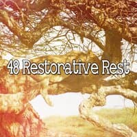 48 Restorative Rest