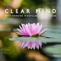 Clear Mind with Morning Mindfulness Meditation - Nature Sounds for Yoga, Positive Energy, Sleep, Calm, Relaxation