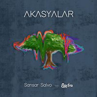 Akasyalar