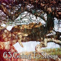 63 Going To Sleep