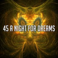 45 A Night for Dreams