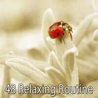 48 Relaxing Routine