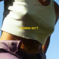 Gemini Sh*t