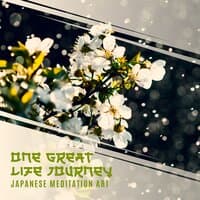 One Great Life Journey: Japanese Meditation Art