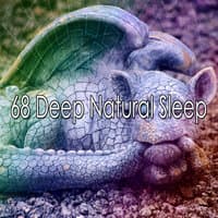 68 Deep Natural Sle - EP