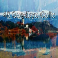 48 Goodbye Colic