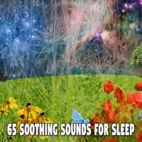 65 Soothing Sounds for Sle - EP