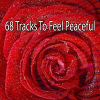 68 Tracks to Feel Peaceful