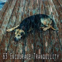 63 Encourage Tranquility