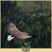 Flight