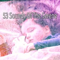 53 Sounds Of The Serene