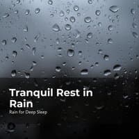 Tranquil Rest in Rain