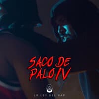 Saco de palo 4