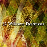 52 Welcome Destresser