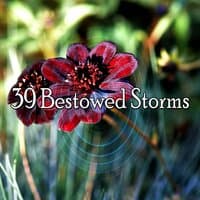 39 Bestowed Storms