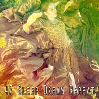 47 Sleep Dream Repeat