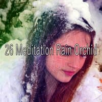 26 Meditation Rain Orchid