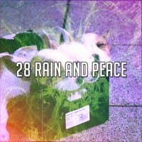 28 Rain and Peace