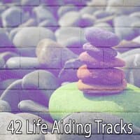 42 Life Aiding Tracks