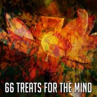 66 Treats for the Mind