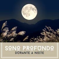 Sono Profundo Durante a Noite: Músicas para Aliviar o Stress