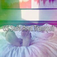 65 Safe and Tranquil