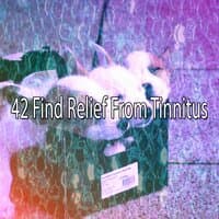 42 Find Relief from Tinnitus