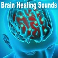 Rebuild You Brain to Grow New Brain Cells (300 - 320 Hz)