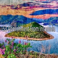 53 Abolishment from Insomnia