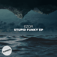 Stupid Funky EP