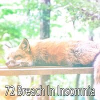 72 Breach in Insomnia