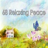 68 Relaxing Peace