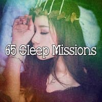 65 Sleep Missions