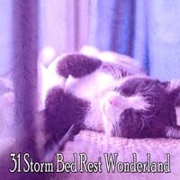 31 Storm Bed Rest Wonderland