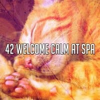 42 Welcome Calm at Spa