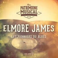 Les pionniers du Blues, Vol. 5 : Elmore James