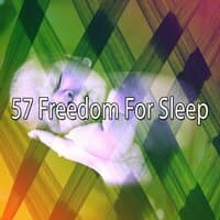 57 Freedom for Sleep