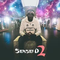 Sensei D 2