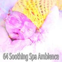 64 Soothing Spa Ambience