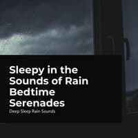 Sleepy in the Sounds of Rain Bedtime Serenades