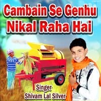 Cambain Se Genhu Nikal Raha Hai