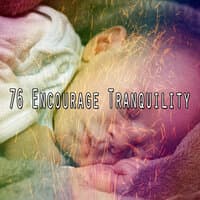 76 Encourage Tranquility