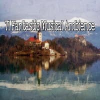 71 Fantastic Musical Ambience