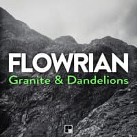 Granite & Dandelions