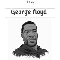 George Floyd (rip)