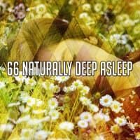 66 Naturally Deep Asle - EP