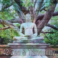 42 Zen & Tranquility