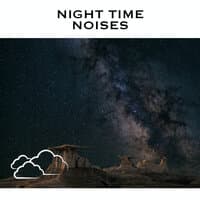 Night Time Noises