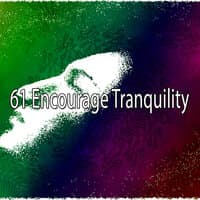 61 Encourage Tranquility