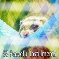 53 Peaceful Instillments